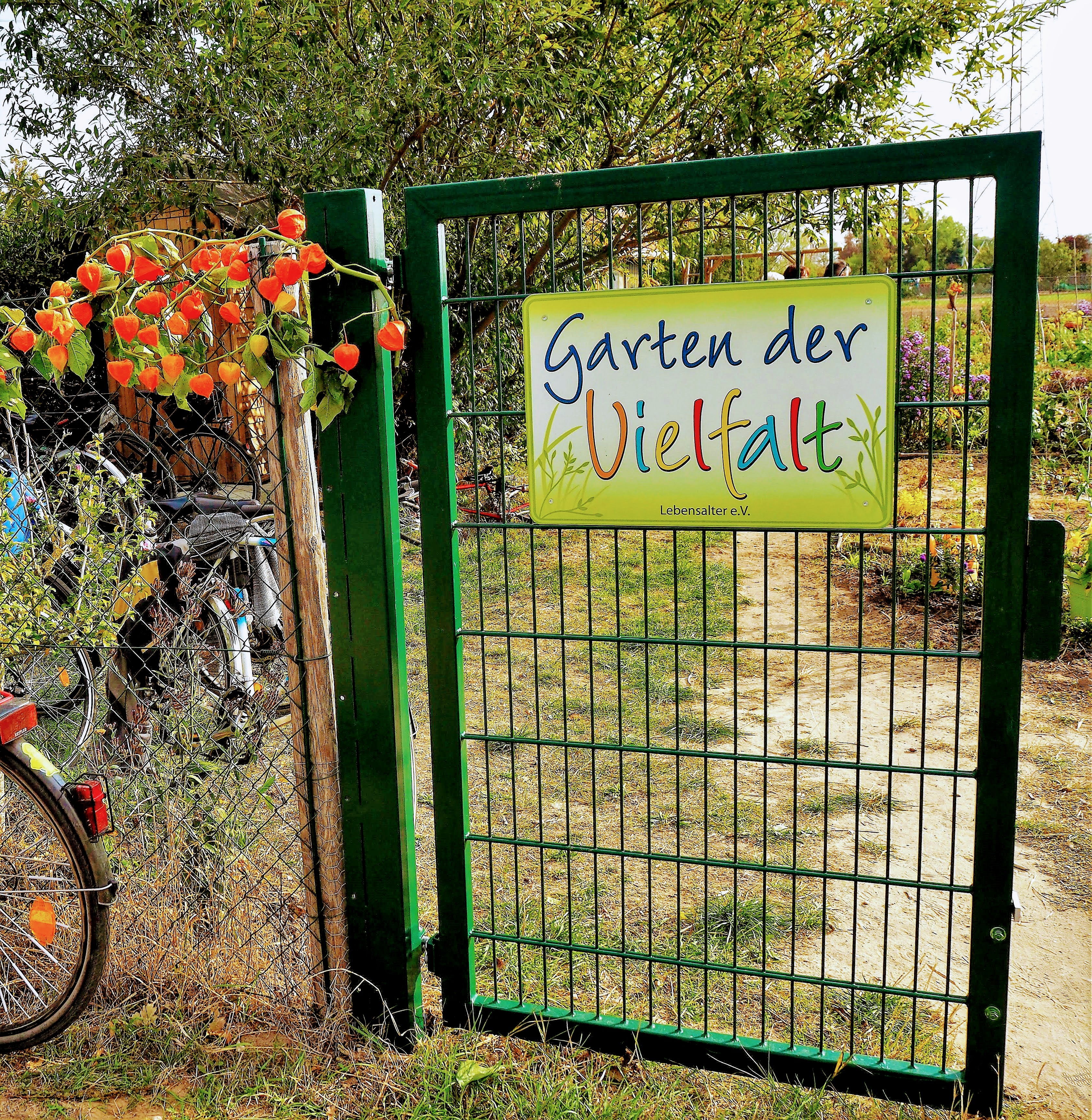 Bild nicht vorhanden