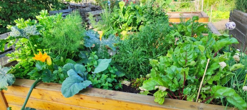 Bild nicht vorhanden