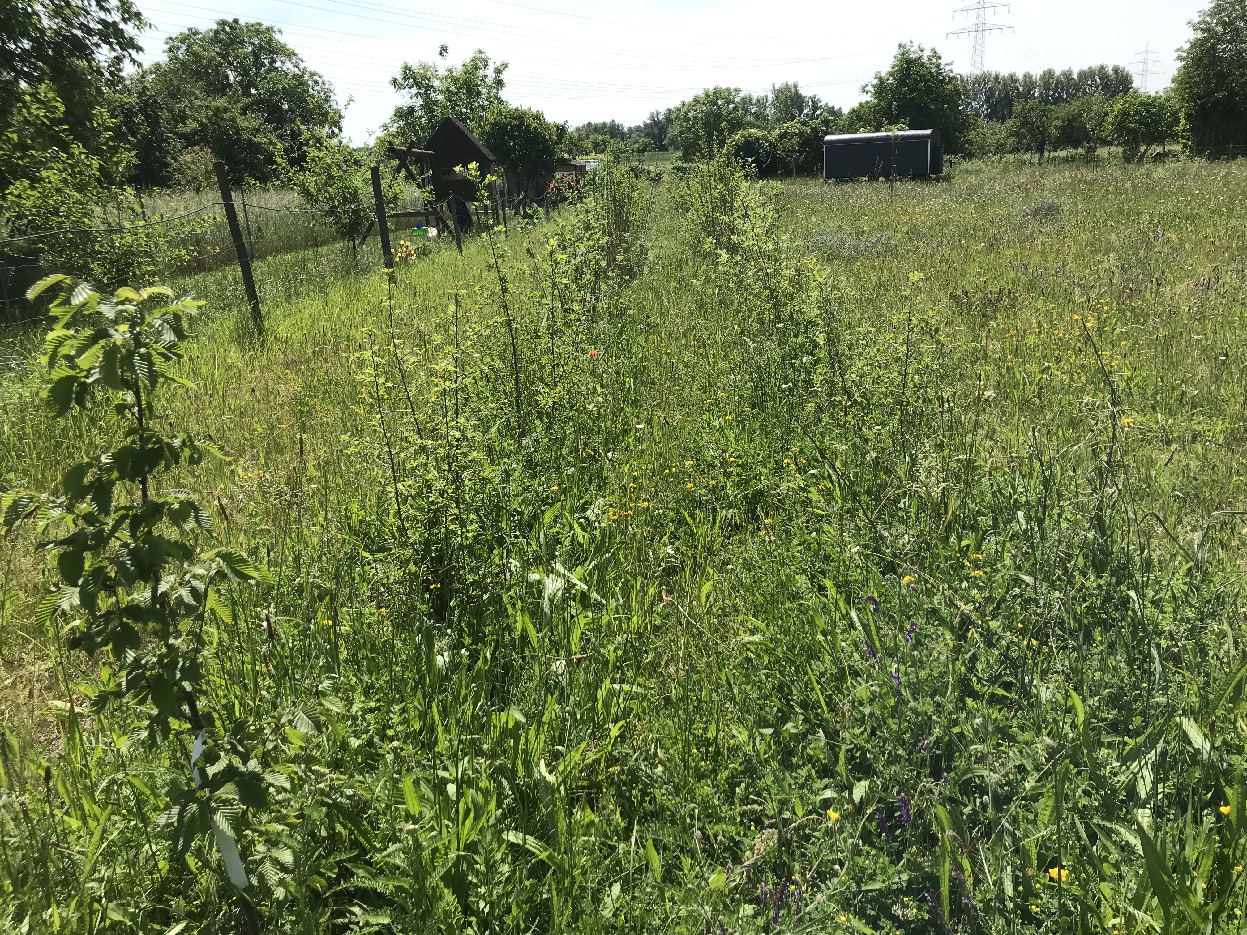 Bild nicht vorhanden