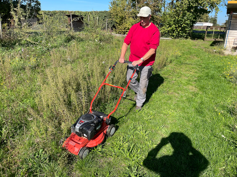 Bild nicht vorhanden