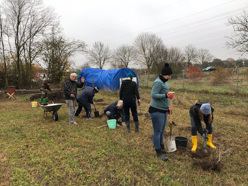 Bild nicht vorhanden