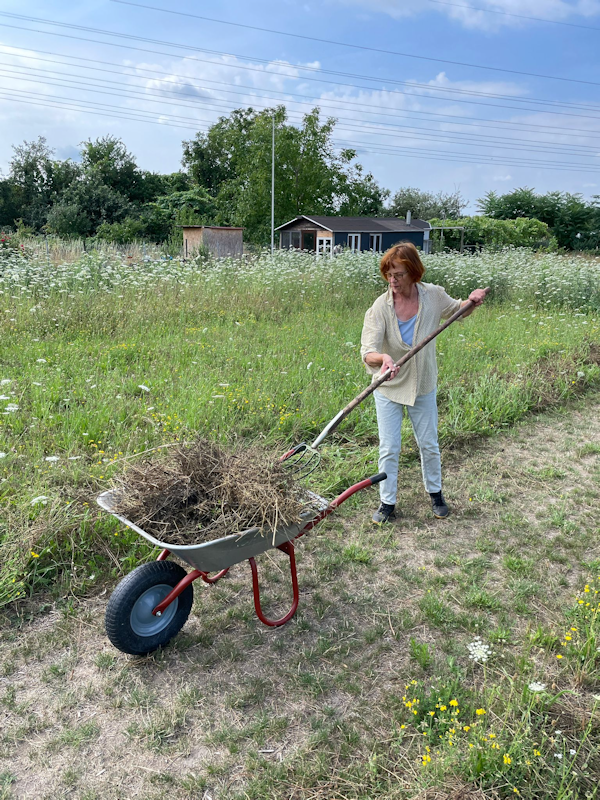 Bild nicht vorhanden