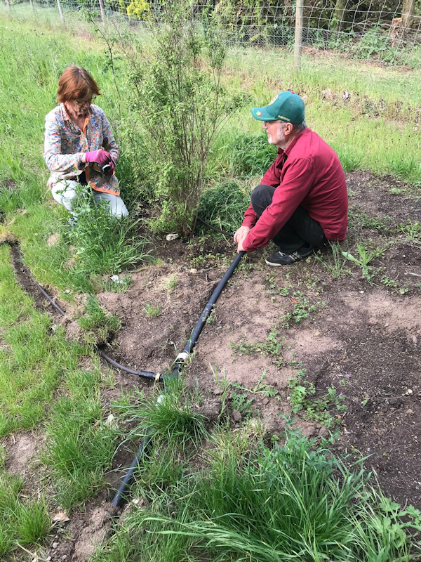 Bild nicht vorhanden